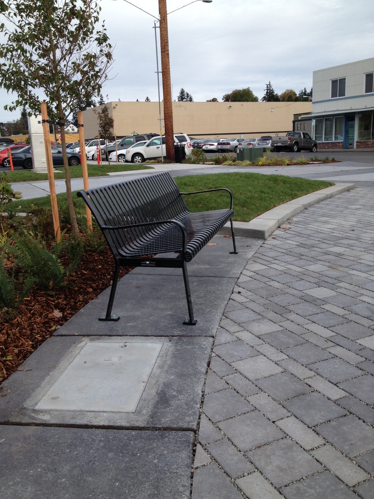 landscaping in plaza